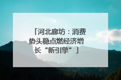 河北廊坊：消费势头稳点燃经济增长“新引擎”