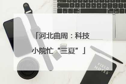 河北曲周：科技小院忙“三夏”