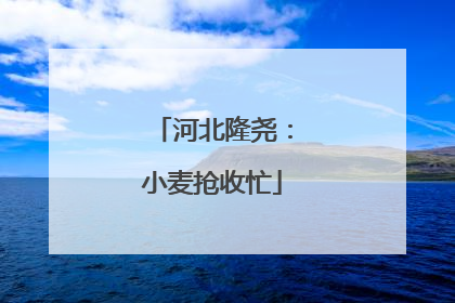 河北隆尧：小麦抢收忙