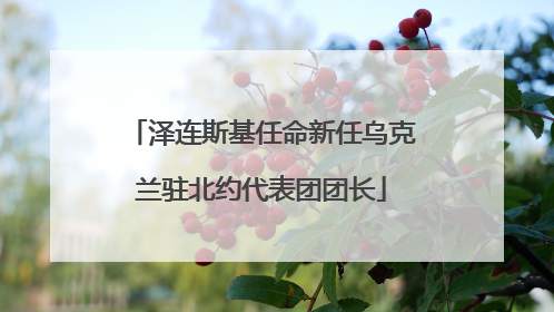 泽连斯基任命新任乌克兰驻北约代表团团长