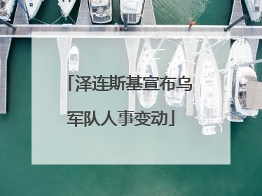 泽连斯基宣布乌军队人事变动