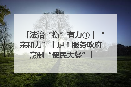 法治“衡”有力①｜“亲和力”十足！服务政府烹制“便民大餐”