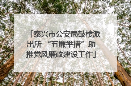 泰兴市公安局鼓楼派出所 “五廉举措”助推党风廉政建设工作
