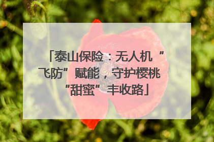 泰山保险：无人机“飞防”赋能，守护樱桃“甜蜜”丰收路