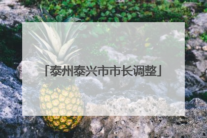 泰州泰兴市市长调整