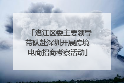 洛江区委主要领导带队赴深圳开展跨境电商招商考察活动