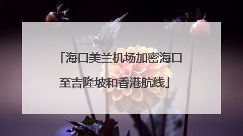 海口美兰机场加密海口至吉隆坡和香港航线