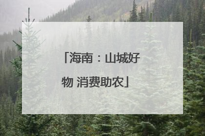 海南：山城好物 消费助农