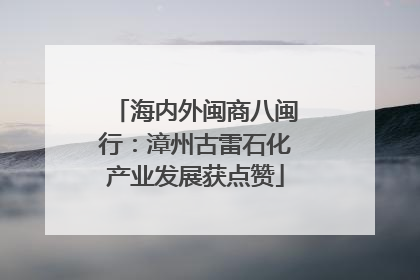 海内外闽商八闽行：漳州古雷石化产业发展获点赞