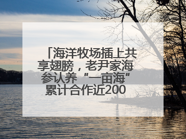 海洋牧场插上共享翅膀，老尹家海参认养“一亩海”累计合作近200企业客户