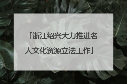 浙江绍兴大力推进名人文化资源立法工作