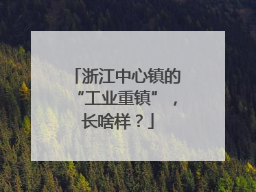 浙江中心镇的“工业重镇”，长啥样？