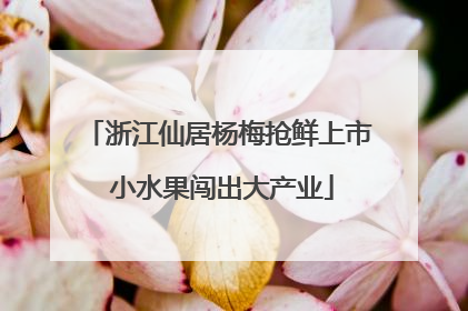 浙江仙居杨梅抢鲜上市 小水果闯出大产业