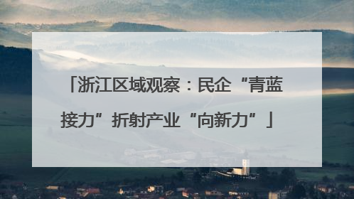 浙江区域观察：民企“青蓝接力”折射产业“向新力”