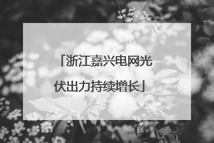 浙江嘉兴电网光伏出力持续增长