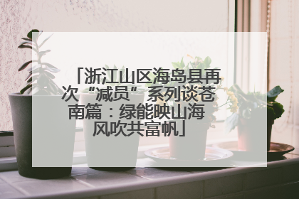 浙江山区海岛县再次“减员”系列谈苍南篇：绿能映山海 风吹共富帆