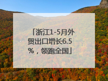 浙江1-5月外贸出口增长6.5%，领跑全国