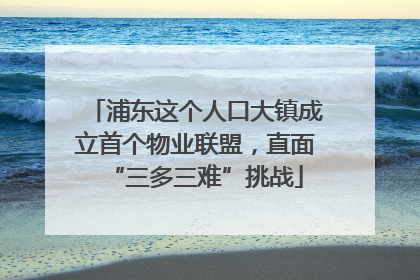 浦东这个人口大镇成立首个物业联盟，直面“三多三难”挑战