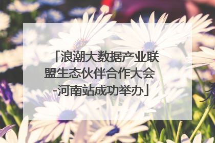 浪潮大数据产业联盟生态伙伴合作大会-河南站成功举办