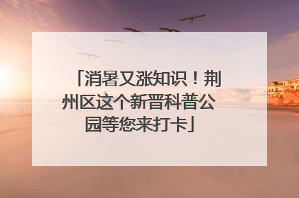 消暑又涨知识！荆州区这个新晋科普公园等您来打卡