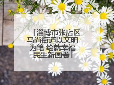 淄博市张店区马尚街道以文明为笔 绘就幸福民生新画卷
