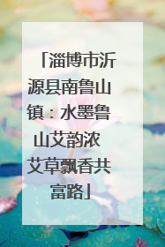 淄博市沂源县南鲁山镇：水墨鲁山艾韵浓 艾草飘香共富路