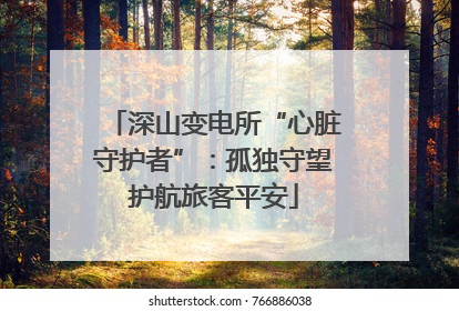 深山变电所“心脏守护者”：孤独守望护航旅客平安