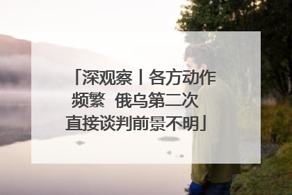 深观察丨各方动作频繁  俄乌第二次直接谈判前景不明