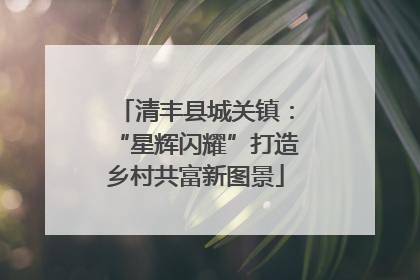 清丰县城关镇：“星辉闪耀”打造乡村共富新图景