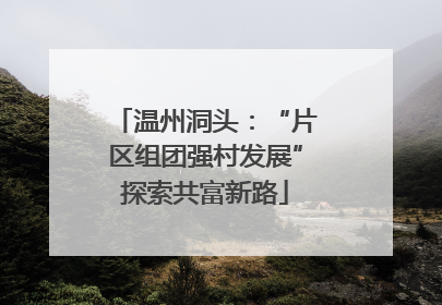 温州洞头：“片区组团强村发展”探索共富新路