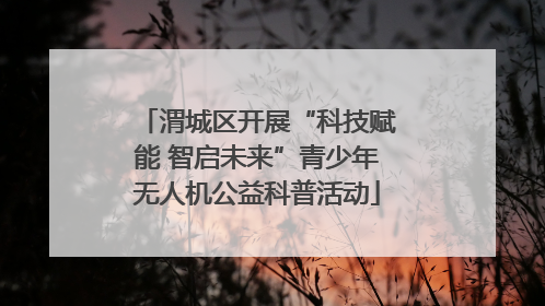 渭城区开展“科技赋能 智启未来”青少年无人机公益科普活动