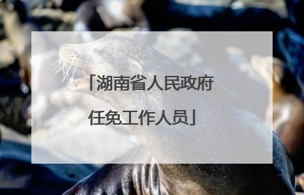 湖南省人民政府任免工作人员
