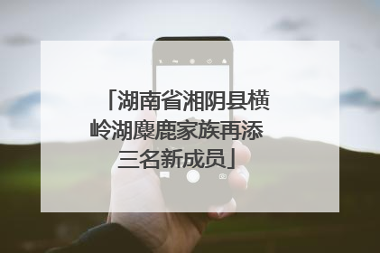 湖南省湘阴县横岭湖麋鹿家族再添三名新成员