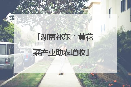 湖南祁东：黄花菜产业助农增收