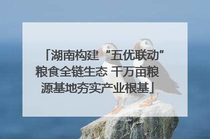 湖南构建“五优联动”粮食全链生态 千万亩粮源基地夯实产业根基