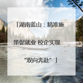 湖南蓝山：精准施策促就业 校企实现“双向奔赴”