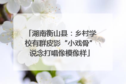 湖南衡山县：乡村学校有群皮影“小戏骨” 说念打唱像模像样