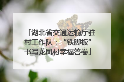 湖北省交通运输厅驻村工作队：“铁脚板”书写龙凤村幸福答卷