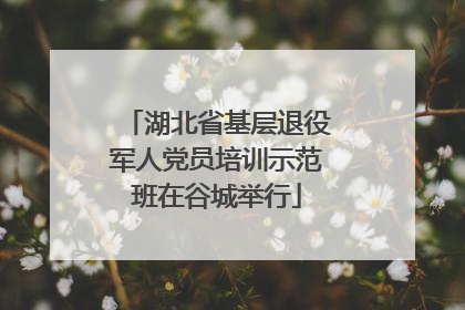 湖北省基层退役军人党员培训示范班在谷城举行