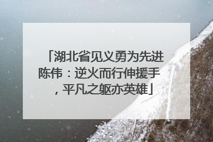 湖北省见义勇为先进陈伟：逆火而行伸援手，平凡之躯亦英雄