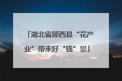 湖北省郧西县“花产业”带来好“钱”景