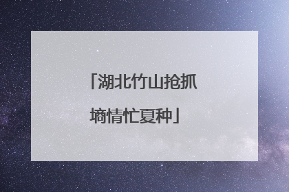 湖北竹山抢抓墒情忙夏种