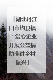 湖北丹江口市均县镇：爱心企业开展公益捐助推进乡村振兴