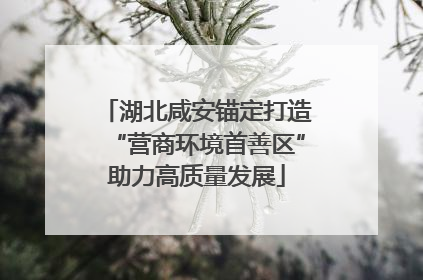 湖北咸安锚定打造“营商环境首善区”助力高质量发展