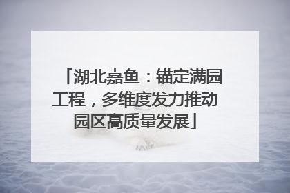 湖北嘉鱼：锚定满园工程，多维度发力推动园区高质量发展