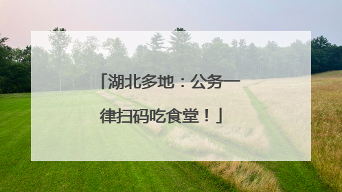 湖北多地：公务一律扫码吃食堂！