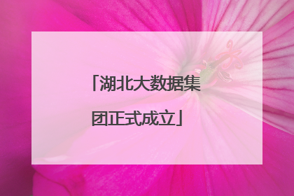 湖北大数据集团正式成立