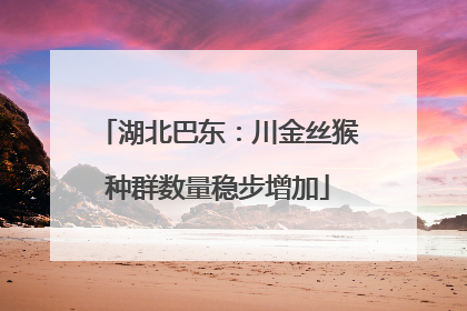 湖北巴东：川金丝猴种群数量稳步增加