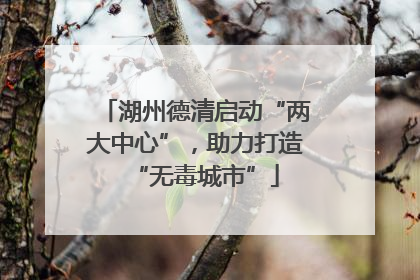 湖州德清启动“两大中心”，助力打造“无毒城市”