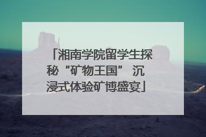 湘南学院留学生探秘“矿物王国” 沉浸式体验矿博盛宴